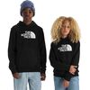 The North Face - Evolution Half Dome Pullover Hoodie - Kids' - TNF Black