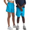 Meridian Blue Logo Weather Topo Phantom Print