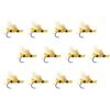 Umpqua - Stubby Chubby 12-Pack