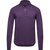 Purple Indigo