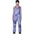 Firefall Bib Pant - Women's image