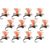Bucky's Klinkhammer - 12-Pack image