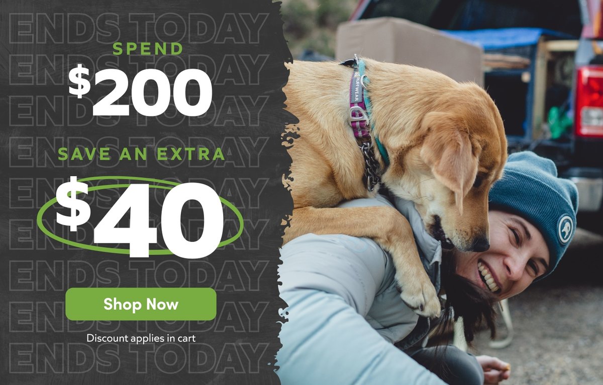 Ends today: spend $200, save an extra $40 — discount applies in cart. Smiling woman in a beanie carrying a happy dog on her shoulders. Shop Now.