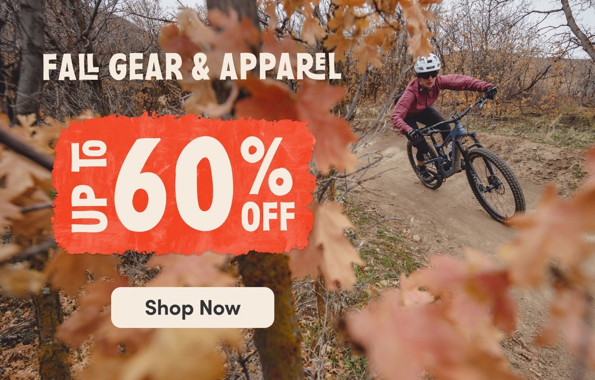 Fall on sale